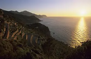 Terraced Field Landscape Drucke: Mallorca Banyalbufar