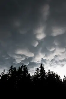 Cumulonimbus Cloud Formation Drucke: Mammoth clouds, bad weather, dramatic cloud atmosphere