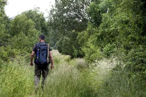 Post War Era Germany Drucke: Man with backpack, hiker in the border triangle