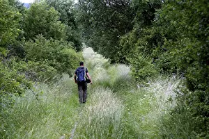 Historical Landscape Photography Drucke: Man with backpack, hiker in the border triangle