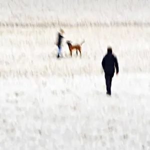 Long Exposure Coastal Photo Drucke: Man with child and dog on the beach
