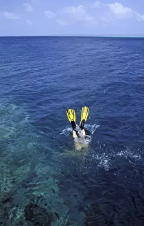 Blue Water Sports Drucke: Man diving in the sea