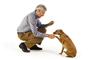Dog Training Drucke: Man is dog training obedience
