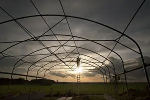 Northern Germany Countryside Scene Drucke: Man on a ladder constructing a barn at dusk in backlight