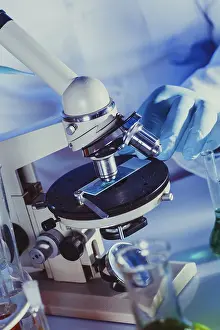Scientist In Lab Drucke: Man is looking into the ocular of microscope
