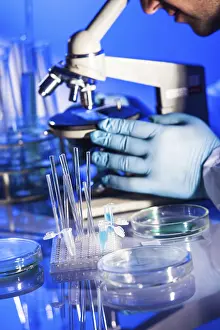 Scientist In Lab Drucke: Man is looking into the ocular of microscope