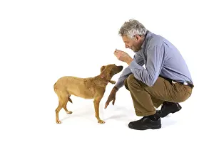 Domestic Animal Exercise Routine Drucke: Man is training his dog obedience
