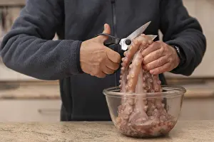 Detailed Texture Image Drucke: A man uses scissors to cut an octopus