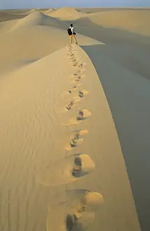 Sahara Landscape Drucke: Man walking through the desert