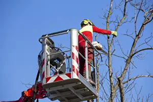 Construction Equipment Drucke: Man on the work platform pruning trees