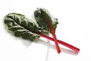 Nutrition Vegetable Plant Drucke: Mangold or Chard