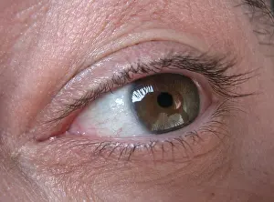 Macro Eye Photography Drucke: Man`s eye