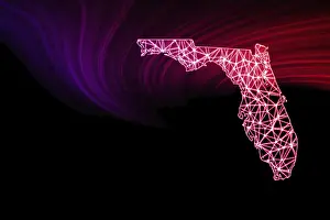 Polygonal Mesh Line Map Drucke: Map of Florida, Polygonal mesh line map