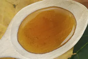 Healthy Baking Ingredients Drucke: Maple syrup