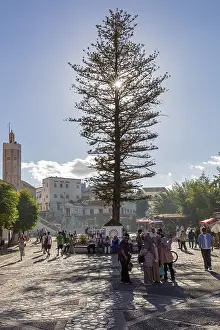 North African Travel Photography Drucke: MAR, Chefchaouen