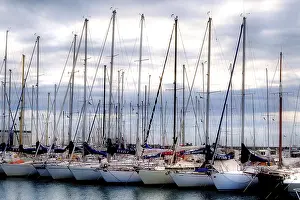 Sailing Sports Drucke: Marina