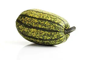 Cut Vegetable Photography Drucke: Marrow, spaghetti squash