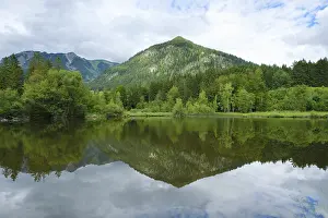 Southern Germany Water Body Drucke: Marsh pond, Oberstdorf, Allgau