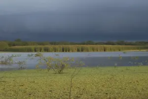 South American Nature Images Drucke: Marsh short before a thunderstorm