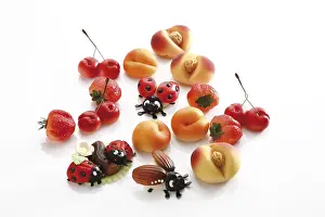 European Desserts Drucke: Marzipan sweets