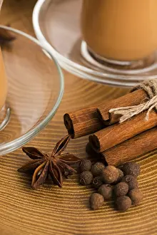 Mixed Spice Blend Drucke: Masala chai