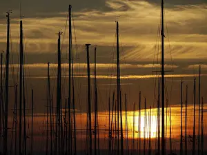 Northern European Harbor Scene Drucke: Mastenwald