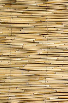 Abstract Straw Texture Drucke: Mat as straw as abstract texture pattern