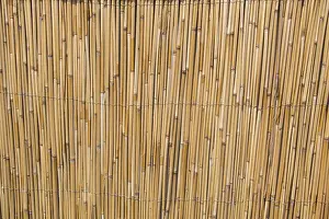 Abstract Straw Texture Drucke: Mat as straw as abstract texture pattern