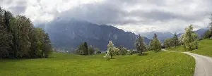 Cloudy Sky Photography Drucke: Meadow with blossoming fruit trees
