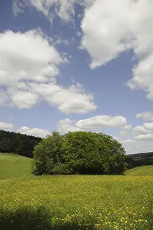 Cloudy Sky Landscapes Europe Drucke: Meadow, forest, edge of forest
