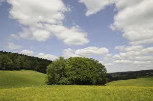 Cloudy Sky Landscapes Europe Drucke: Meadow, forest, edge of forest