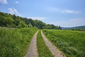Franconia Nature Photography Drucke: Meadow path, forest, spring, Elsenfeld