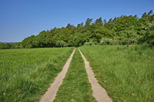 Central Europe Wooded Landscape Drucke: Meadow path, forest, spring, Elsenfeld