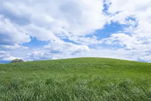 Central Europe Weather Drucke: Meadow, white clouds and blue sky