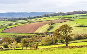 Cultivated Acreage England Drucke: Meadows and Fields over Devon in the colors of fall