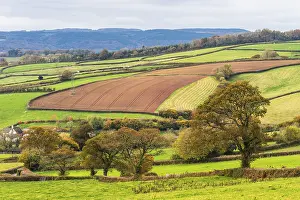 Autumnal Atmosphere Uk Drucke: Meadows and Fields over Devon in the colors of fall