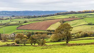 English Countryside Drucke: Meadows and Fields over Devon in the colors of fall