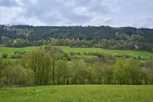 Wild Flowers In Germany Drucke: Meadows, forest landscape, clouds
