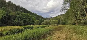 Thuringian Forest Drucke: Meadows and forests stretch under a sky full of clouds