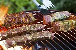 Charcoal Barbecue Drucke: Meat spits on a grill