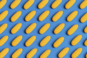 Blue Background Design Drucke: A pattern showcasing plastic corn against a blue background