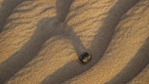 Arabian Peninsula Landscapes Drucke: Structures in the sand, detail