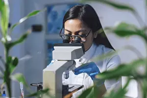 Scientific Research Methods Drucke: Medical laboratory scientist perform tests on patient samples using a microscope