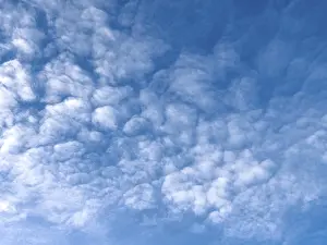 Overcast Blue Skies Drucke: Medium-height white clouds of Altocumulus in blue sky