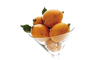 Medlar Fruit Drucke: Medlar (Mespilus)