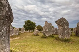 Kerzerho France Drucke: Megalithic stone rows from Kerzerho