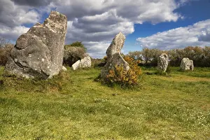 Morbihan Department Photos Drucke: Megalithic stone rows from Kerzerho