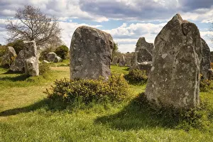 Morbihan Department Landmarks Drucke: Megalithic stone rows from Kerzerho