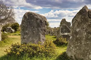 Morbihan Department Photos Drucke: Megalithic stone rows from Kerzerho
