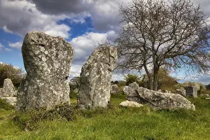 Brittany Rock Formations Drucke: Megalithic stone rows from Kerzerho